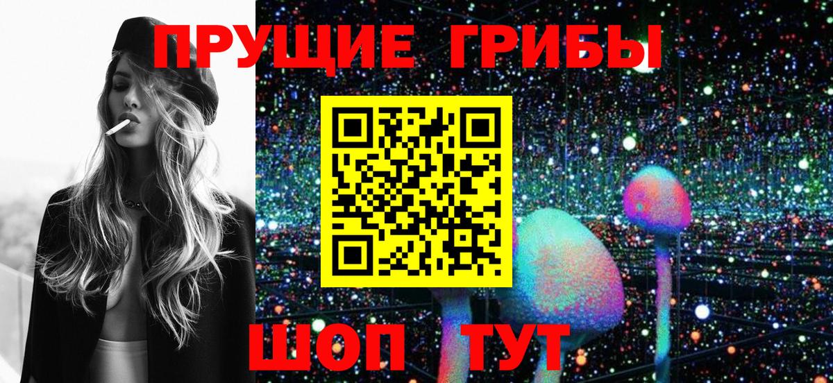Псилоцибиновые грибы GOLDEN TEACHER Киселёвск